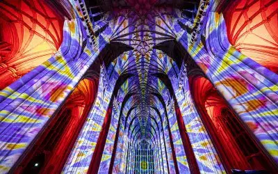 Just under a month to go until Poppy Fields transforms Gloucester Cathedral