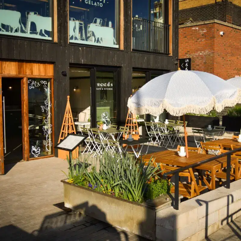 Docks Roots and Seeds (1)