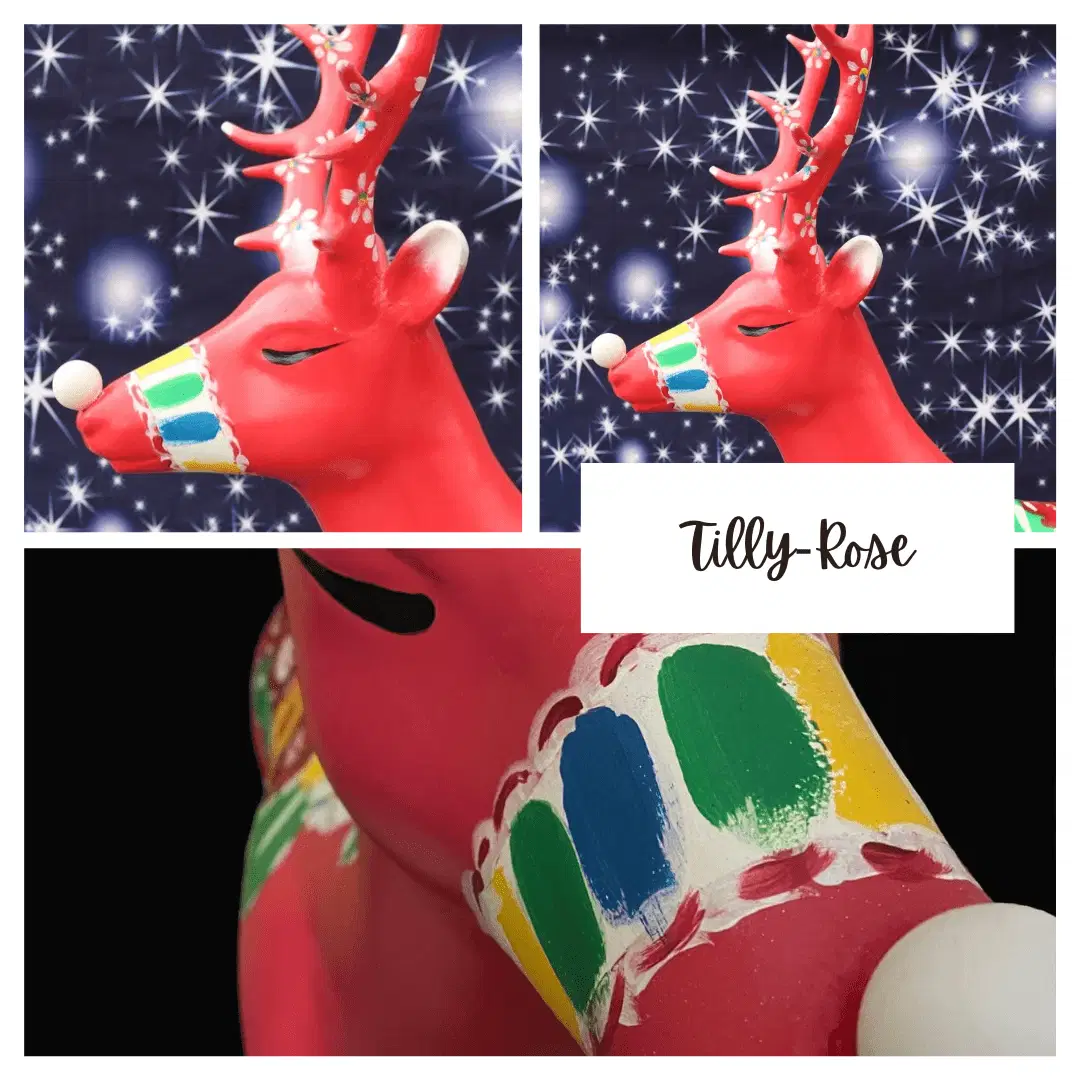 Tilly-Rose