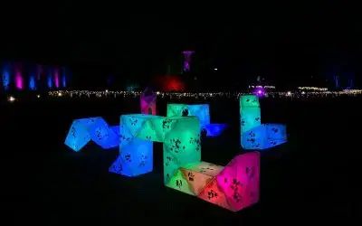 Bright Nights: Twist & Shine