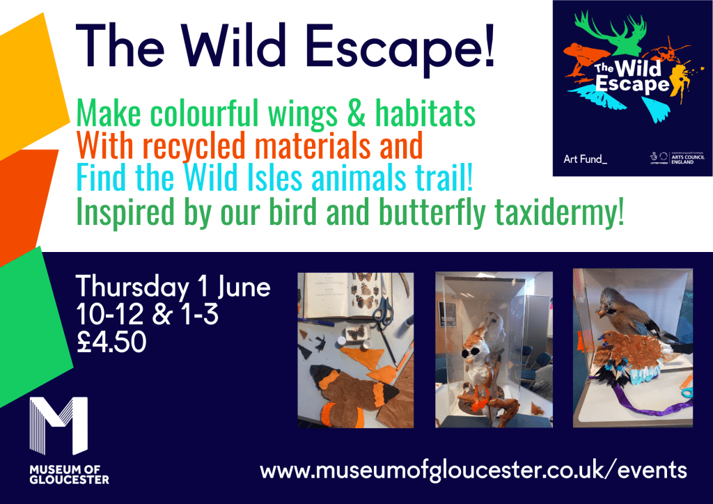 The Wild Escape at the Museum of Gloucester on Thursday 1st June, between 10am to 3pm.
