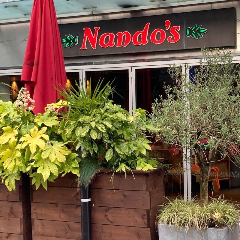 Nandos