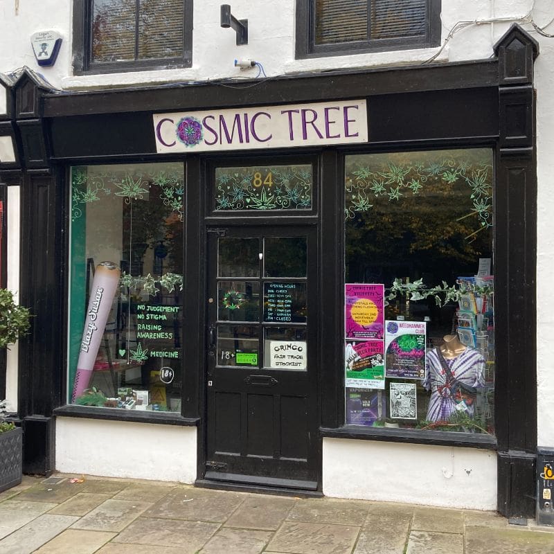 Cosmic Tree